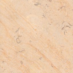 Kalkstein Liesberg (Schweiz)