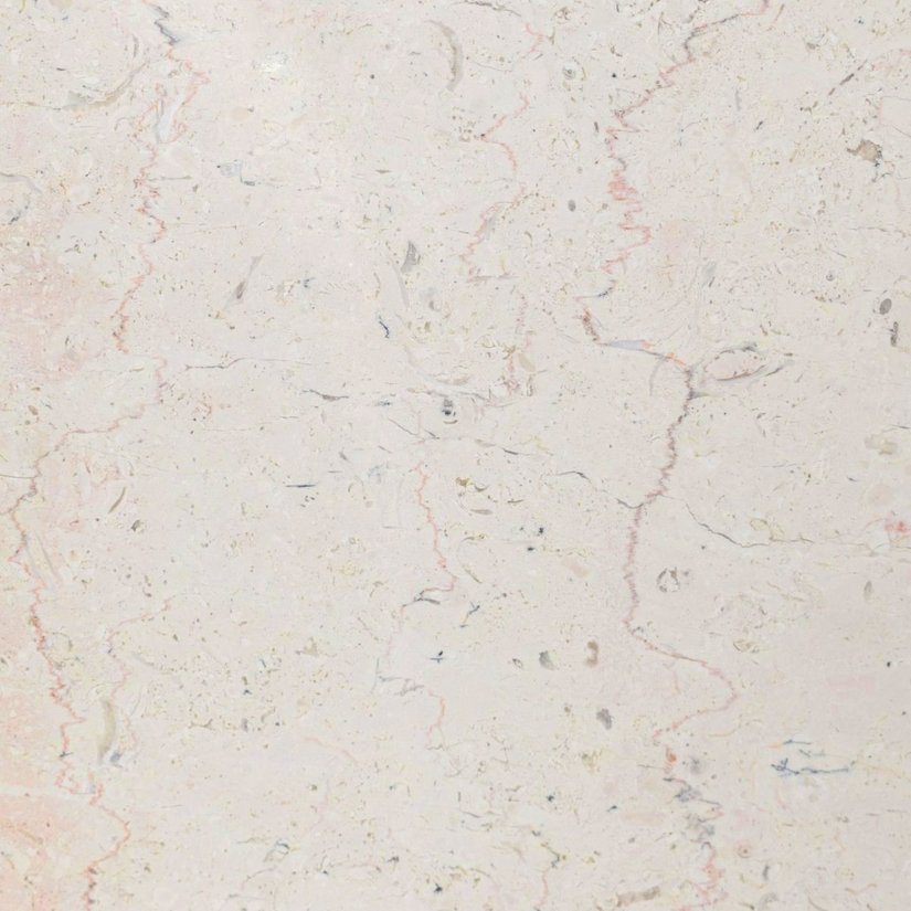 Trani Fiorito Kalkstein - Boden- und Wandplatten - 