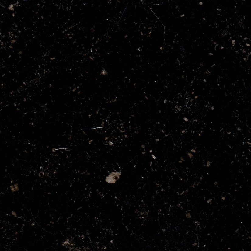 Ecaussinnes Kalkstein - Boden- und Wandplatten - 