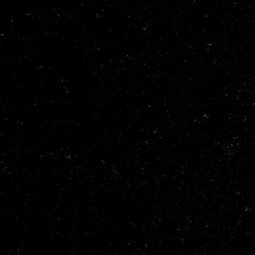 Black Pearl (Indien)