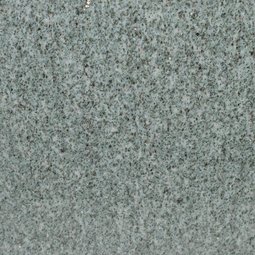 Gneis Verde Argento (Italien)