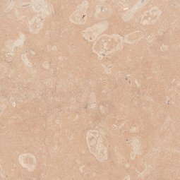 Kalkstein Laufen (Schweiz)